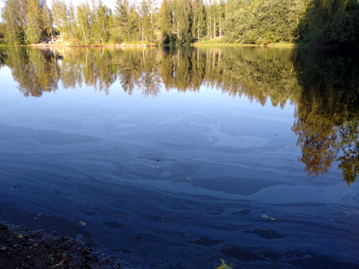 The oil spill